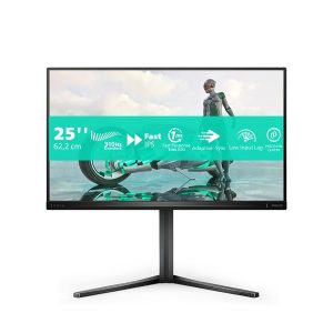 Monitor 24,5 300Hz Reg Alt Gaming