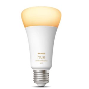 Hue Bianco Ambiance Lampadina E27 13