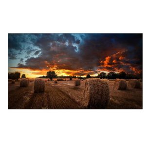 Vm46B-U 46 IPS 1920X1080 500 Cd/M2