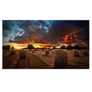 Vm55B-U 55 IPS 1920X1080 500 Cd/M2