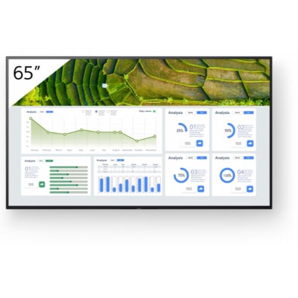 65 4K 24/7 Professional Bravia - immagine 4