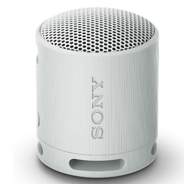 Xb100 Speaker Wrls Grigi0 - immagine 2