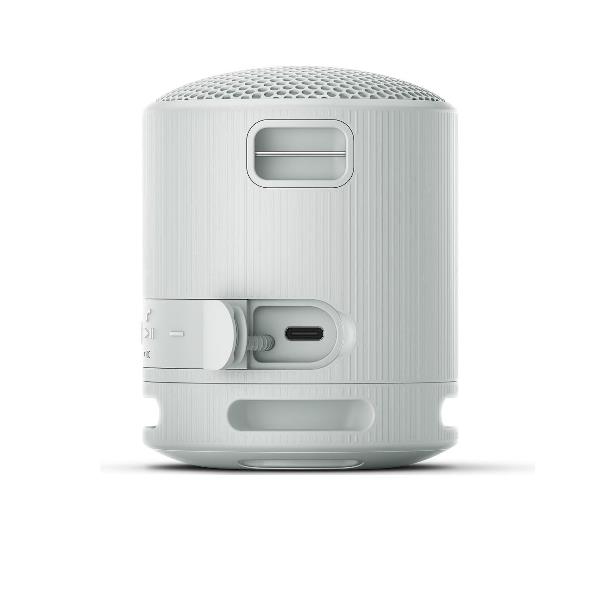 Xb100 Speaker Wrls Grigi0 - immagine 3