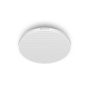 Beamforming Microphone For Speech