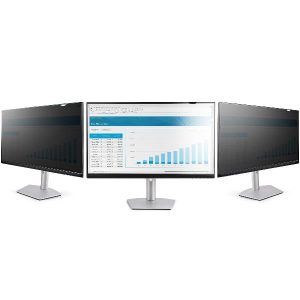 Filtro Privacy Per Monitor 22