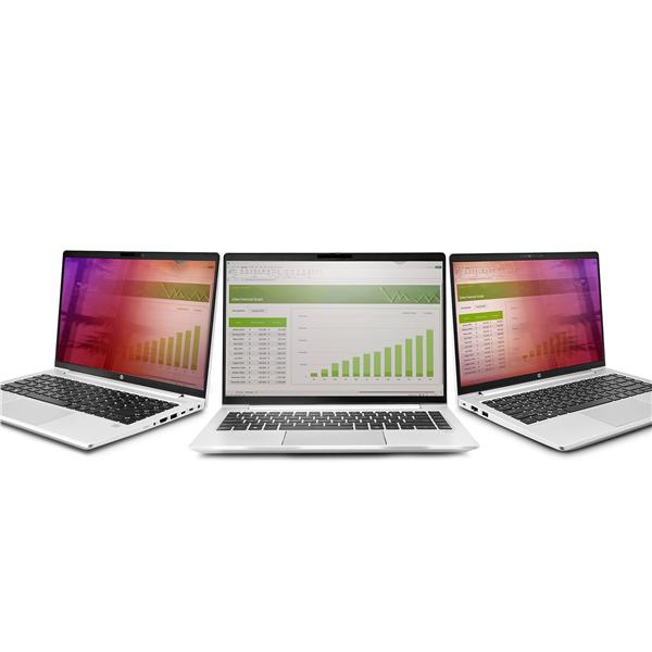 Filtro Privacy Oro 14" 16:9 - immagine 3