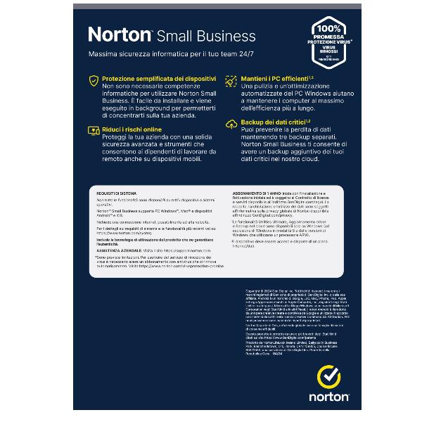 Nsb-250Gb 10 Dev 12M Box - immagine 2