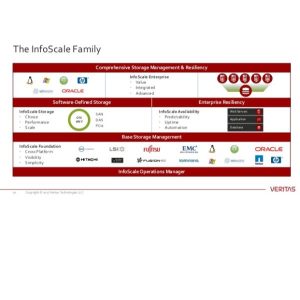 Bcs Premier For Infoscale Rnw 12M