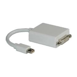 Mini Displayport-DVI