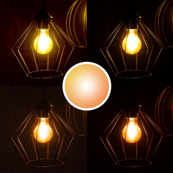 E27 Duo-Pack LED Filament Wi-Fi - immagine 8