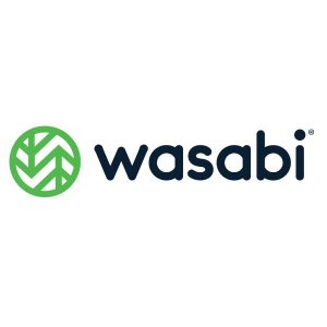 Wasabi C Nas 25Tb 1 Year