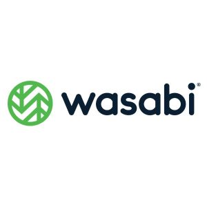 Wasabi Surv Cloud 100Tb 1 Year