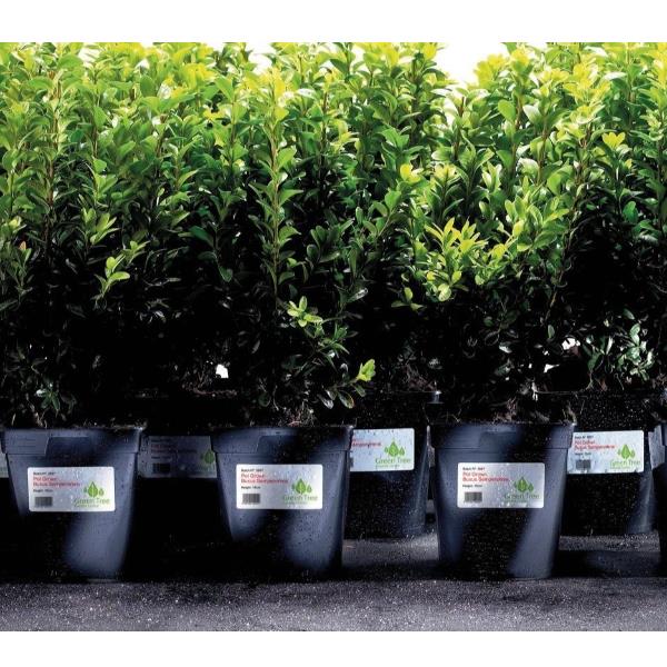 Etich. Poliestere Bianco 45.7X21.2 - immagine 4