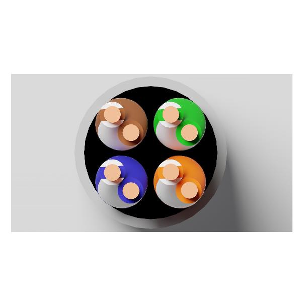 Matassa Schermata Lszh Cat.5E 305Mt - immagine 4