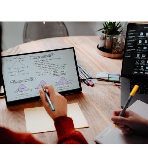 Monitor Portatile Touchsc.1080P 14P