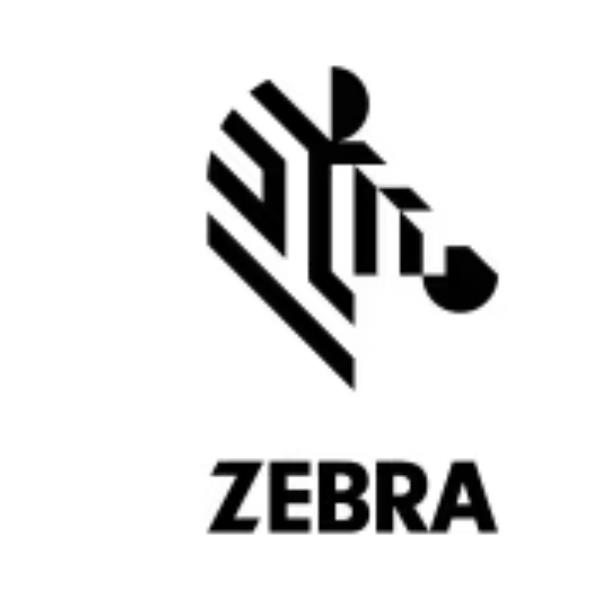 RAM Mount Kit Rw420/Zq510/Zq520 - immagine 3