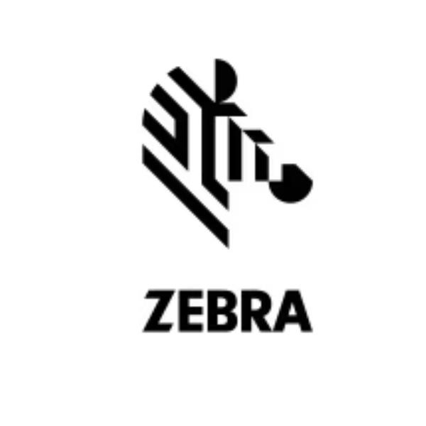 Kit:spare Battery W/Heather Pad - immagine 3