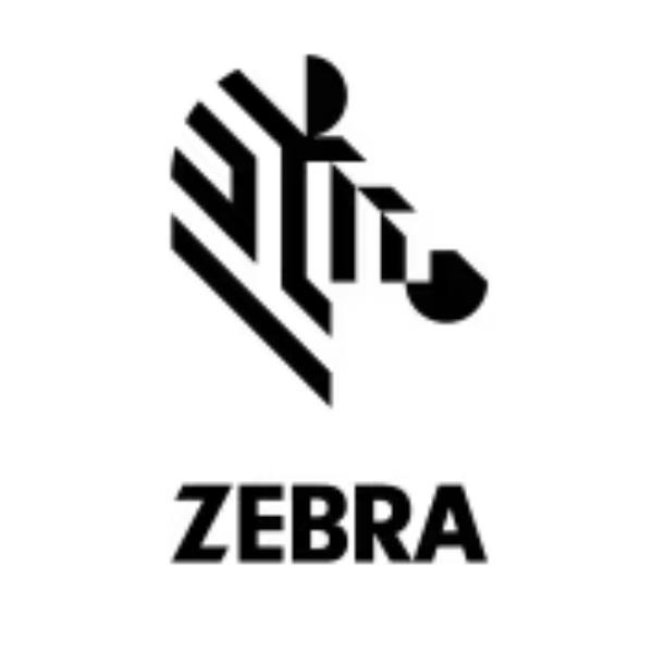 Gds RAM Intelliskin Zebra Et40/45 - immagine 2